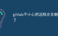 如何防止和解决GitLab不小心删除远程分支的问题