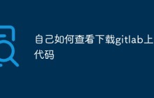 自己如何查看下载gitlab上的代码