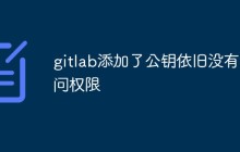 gitlab添加了公钥依旧没有访问权限怎么办