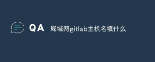 浅析Gitlab局域网主机名应该填什么