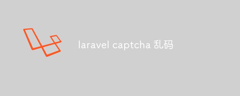 Laravel Captcha 구문 분석 중 잘못된 코드 문제