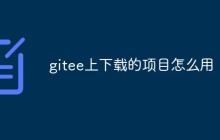 gitee上下载的项目怎么用