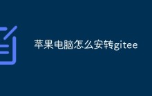 在苹果电脑上如何安装gitee