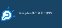 Which company developed Code Cloud gitee?