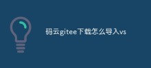 How to import code cloud gitee download into vs