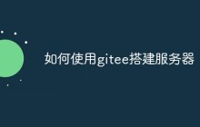 如何使用gitee搭建服务器