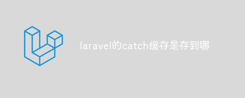 Où est stocké le cache catch de Laravel ?