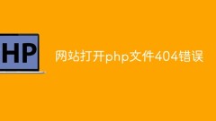 What to do if the website opens a php file with a 404 error