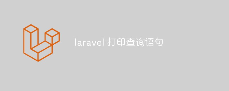 Laravel에서 쿼리문을 인쇄하는 방법 살펴보기