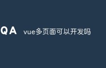 vue可以开发多页面吗