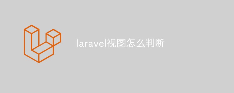 라라벨 뷰의 판단 방법을 설명하는 예