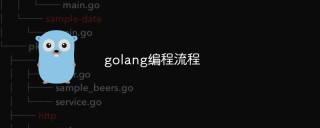 一文介绍Golang编程流程