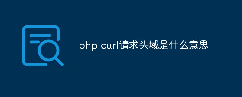 Que signifie le champ d’en-tête de la requête php curl ?