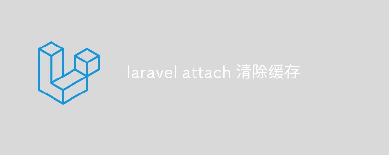 Laravel Attach에서 캐시를 지우는 방법