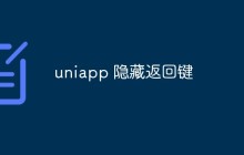 示例讲解如何在Uniapp中实现隐藏返回键的功能
