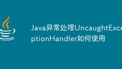 Java 예외 처리 UncaughtExceptionHandler를 사용하는 방법