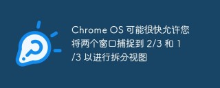 Chrome OS 可能很快允许您将两个窗口捕捉到 2/3 和 1/3 以进行拆分视图
