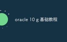 Oracle 10g的基础知识和使用方法