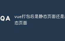 vue打包后是静态页面还是动态页面