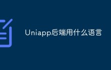 Uniapp的后端开发用什么语言