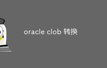 如何进行CLOB类型的转换