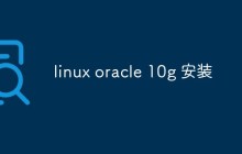 如何在Linux操作系统上安装Oracle数据库10g