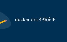 docker dns不指定IP什么意思