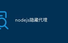 如何在 Node.js 中使用隐藏代理