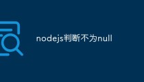 nodejs如何判断变量是否为null或undefined