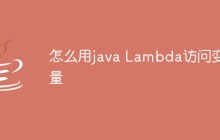 怎么用java Lambda访问变量
