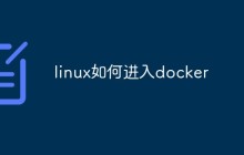 linux如何进入docker
