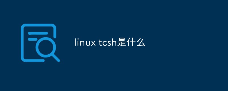 Was ist Linux tcsh