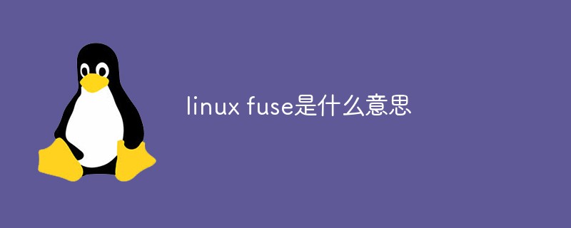 What does linux fuse mean?