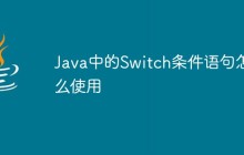 Java中的Switch条件语句怎么使用