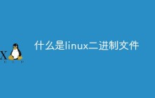 什么是linux二进制文件