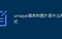 uniapp请求的图片是什么格式