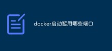 Welche Ports werden vorübergehend für den Docker-Start verwendet?