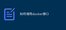 So rufen Sie die Docker-Schnittstelle auf