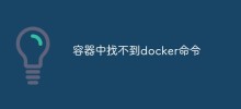 Was tun, wenn der Docker-Befehl nicht im Container gefunden werden kann?