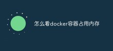 So überprüfen Sie den vom Docker-Container belegten Speicher