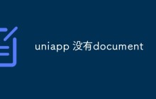 uniapp 没有document怎么办