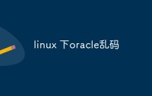 分析和解决linux下oracle中文字符乱码问题