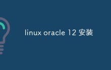 linux上怎么安装Oracle 12（指南）