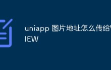 uniapp 图片地址怎么传给VIEW