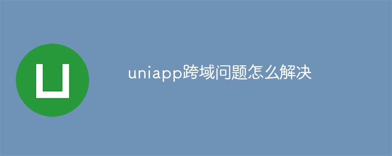 uniapp의 크로스 도메인 문제를 해결하는 방법