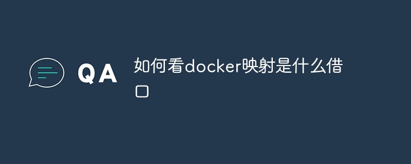 인터페이스 Docker 매핑이 무엇인지 확인하는 방법