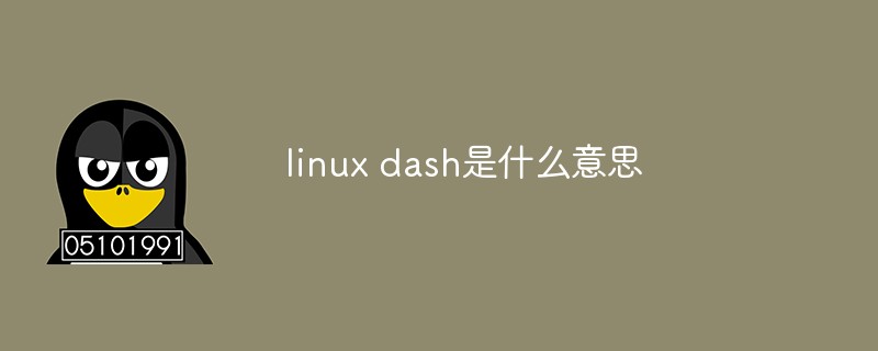 What does linux dash mean?