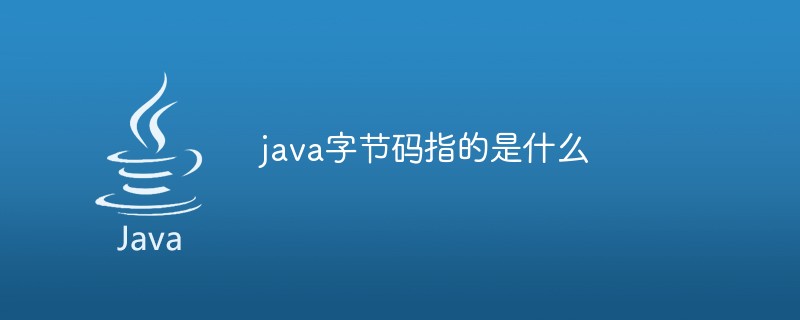 java字节码指的是什么