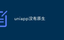 uniapp没有原生是什么意思
