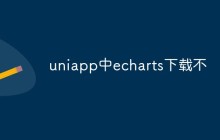 uniapp中echarts下载不了怎么办